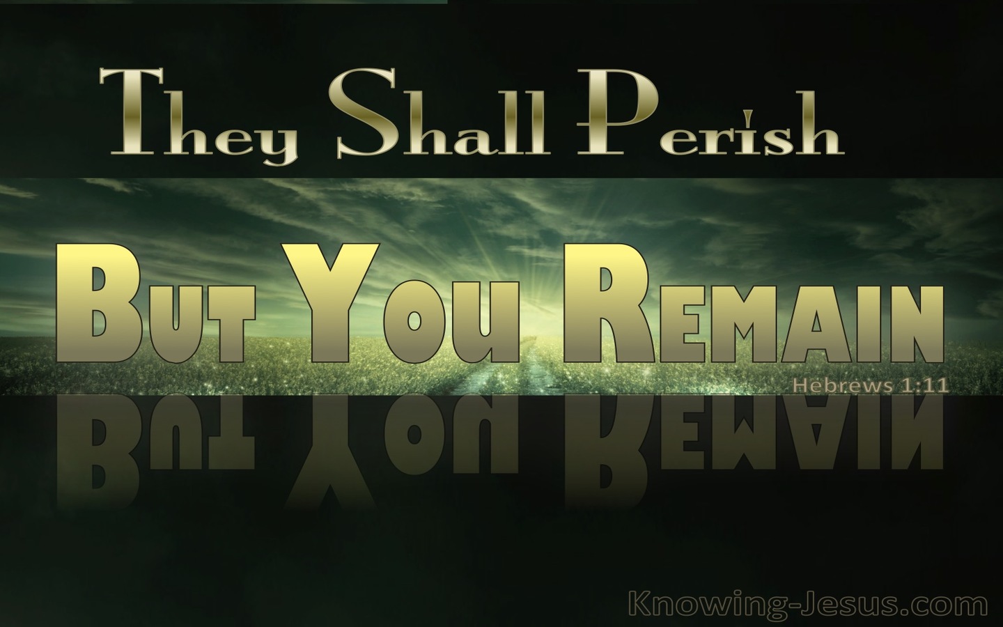 Hebrews 1:11 They Shall Perish But You Remain (gold)